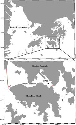 Organic Enrichment Induces Shifts in the Trophic Position of Infauna in a Subtropical Benthic Food Web, Hong Kong